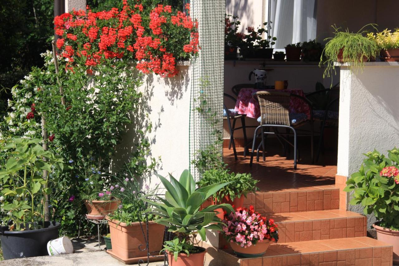 Apartman Rino Basanija Exterior photo