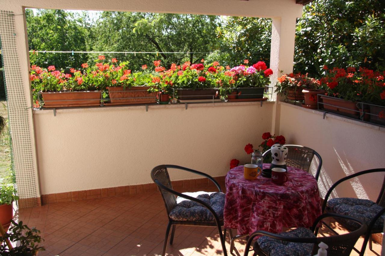 Apartman Rino Basanija Exterior photo