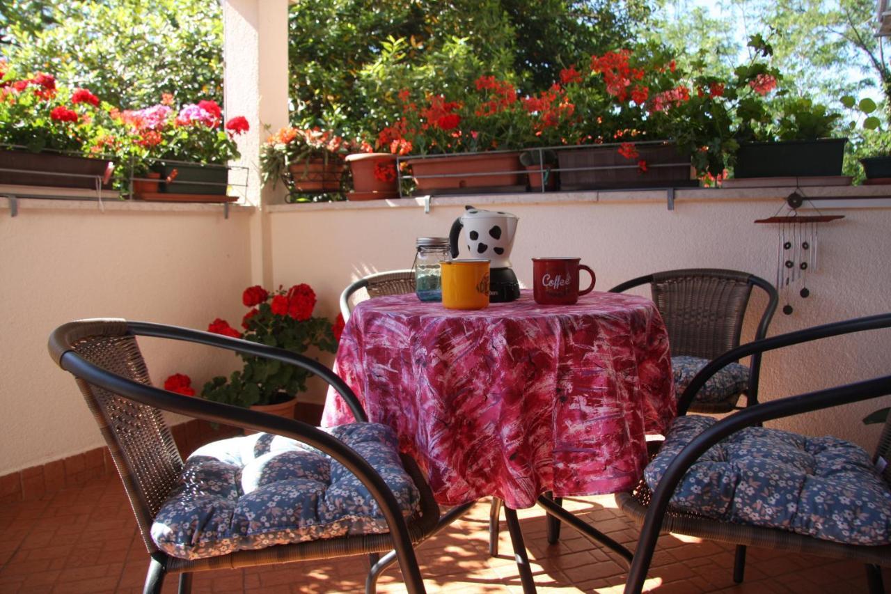 Apartman Rino Basanija Exterior photo